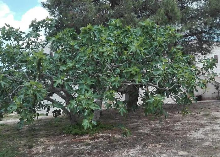 Masseria Le Betulle סן ויטו דיי נורמני