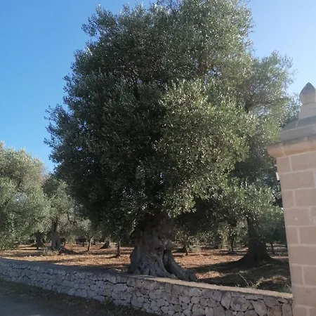 Masseria Le Betulle Bed & Breakfast