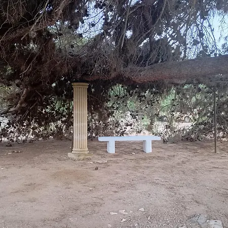 Oda ve Kahvaltı Masseria Le Betulle San Vito dei Normanni