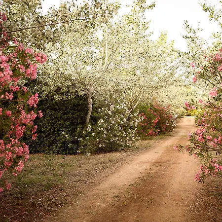 Masseria Le Betulle Oda ve Kahvaltı San Vito dei Normanni